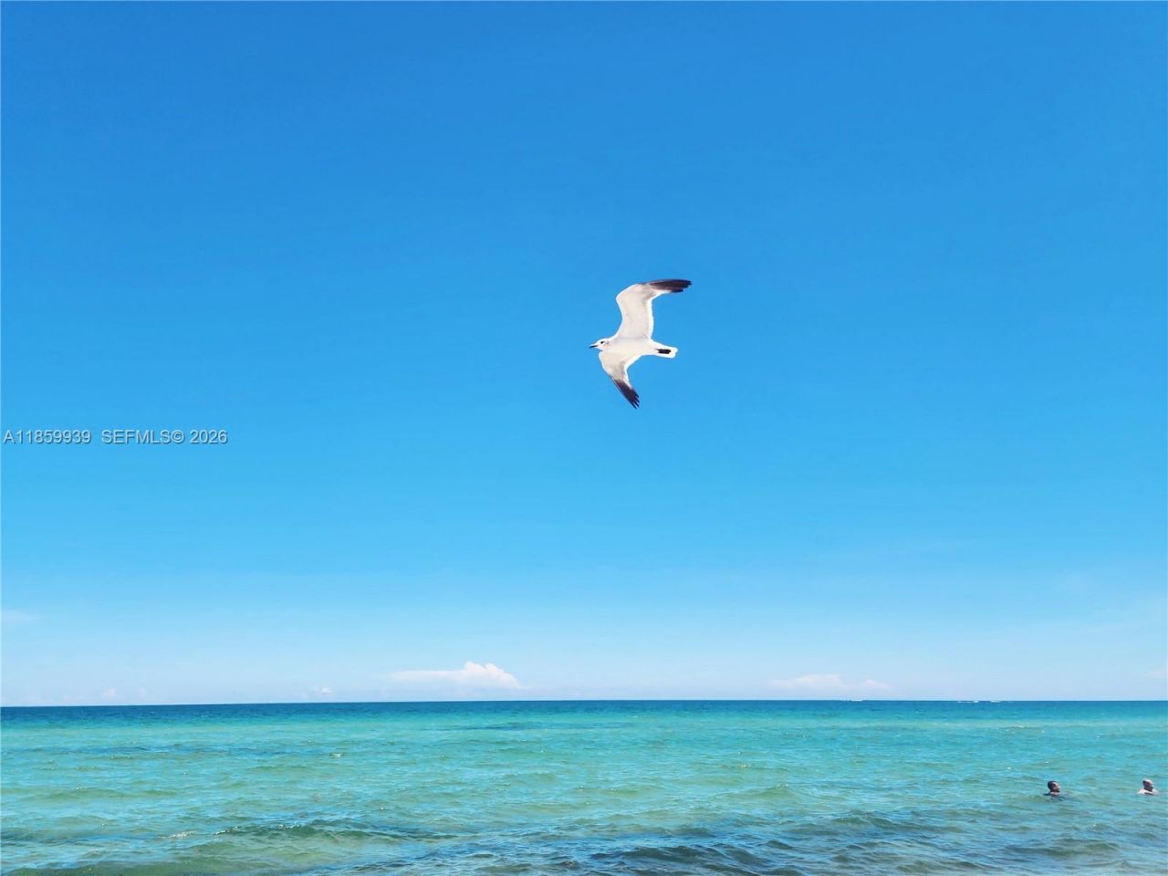 5555 Collins Ave, Unit 9S, Miami Beach, FL 33140 Photo