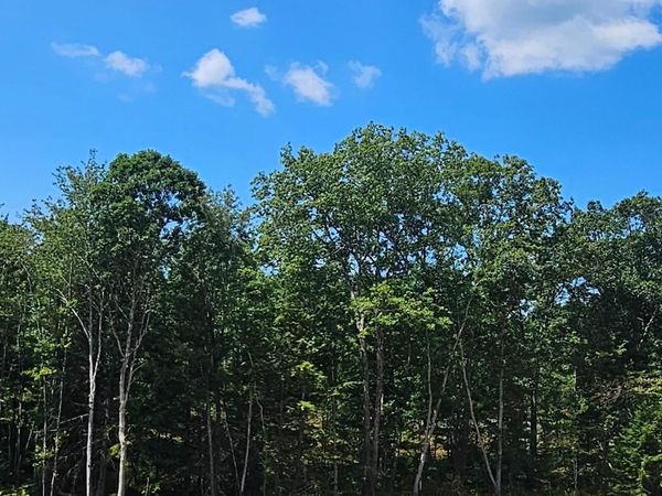 29 Blaisdell Court, Unit 17, Raymond, NH 03077