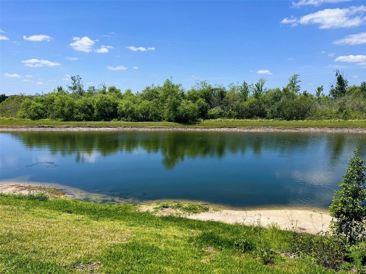 559 Waterfern Trail Drive, Auburndale, FL 33823 Photo