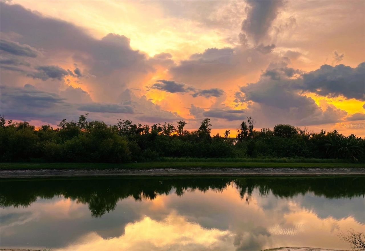 559 Waterfern Trail Drive, Auburndale, FL 33823 Photo