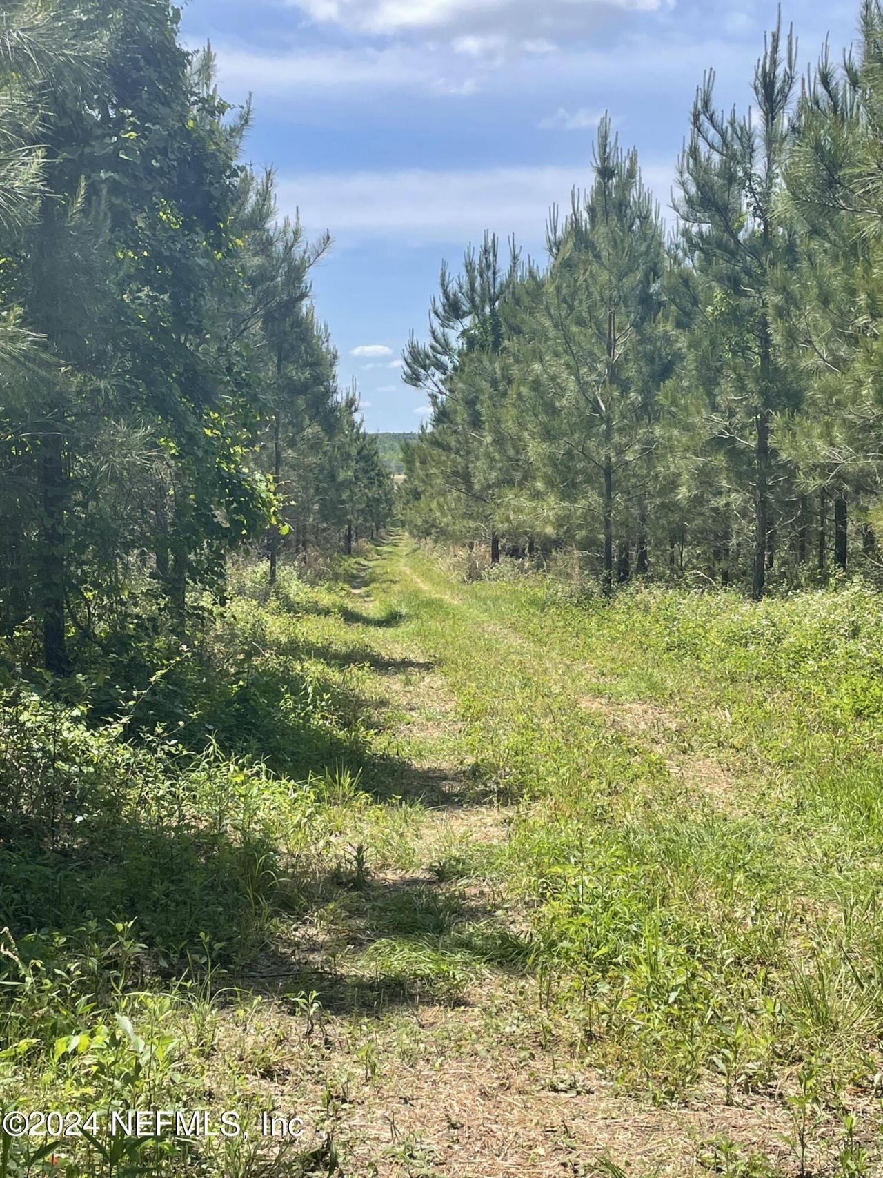 Vacant88 NE Rocky Ford Road, Madison, FL 32340 Photo