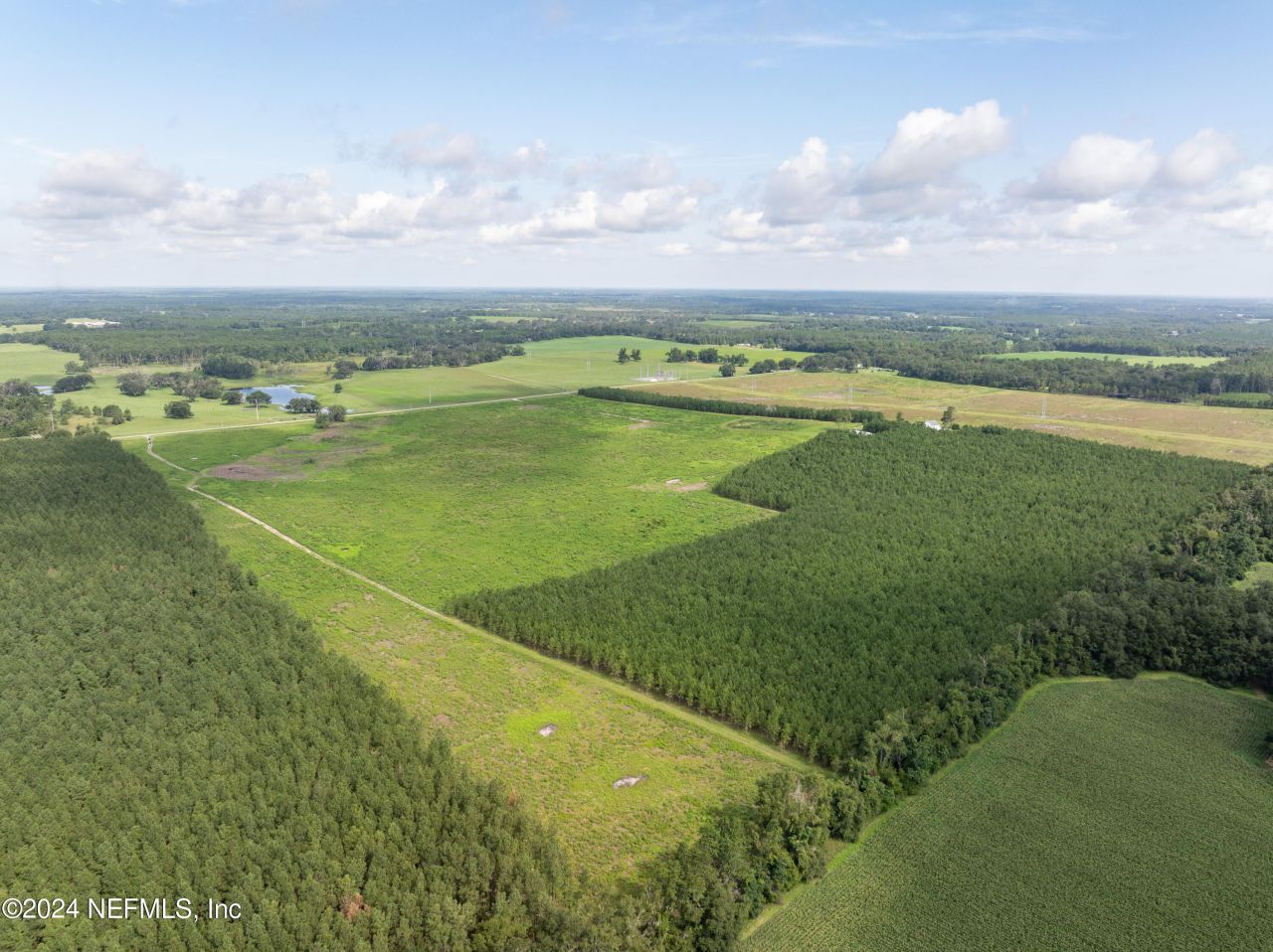 Vacant88 NE Rocky Ford Road, Madison, FL 32340 Photo