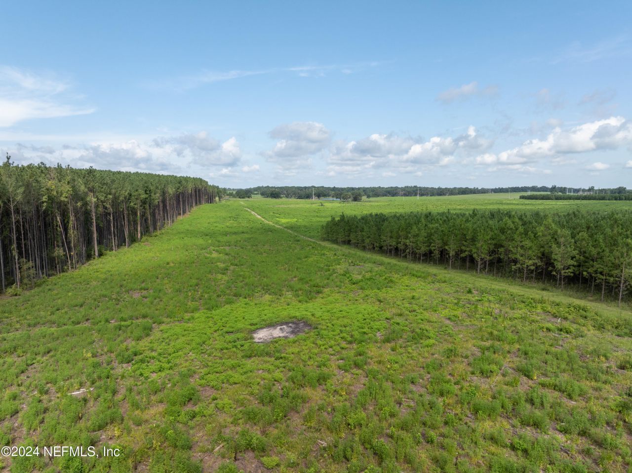 Vacant88 NE Rocky Ford Road, Madison, FL 32340 Photo