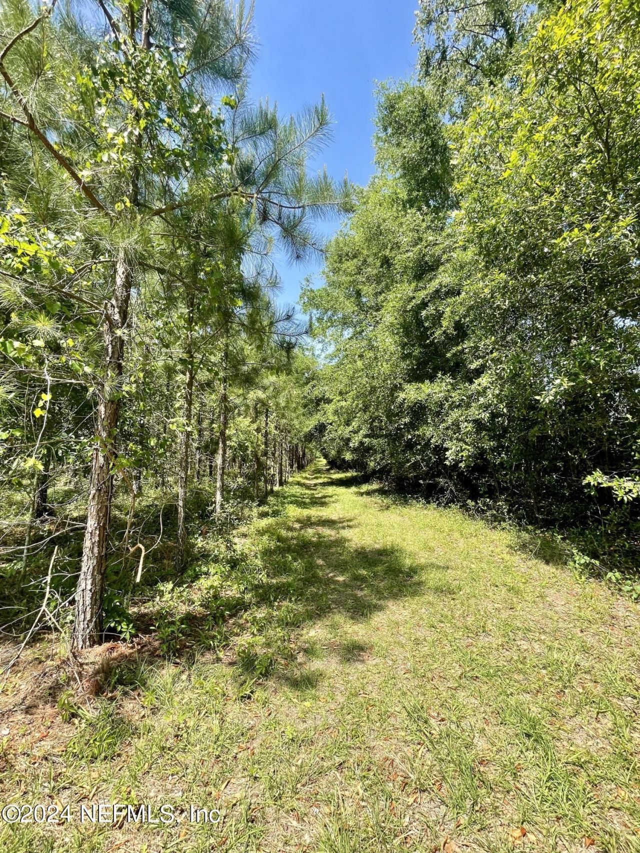 Vacant88 NE Rocky Ford Road, Madison, FL 32340 Photo