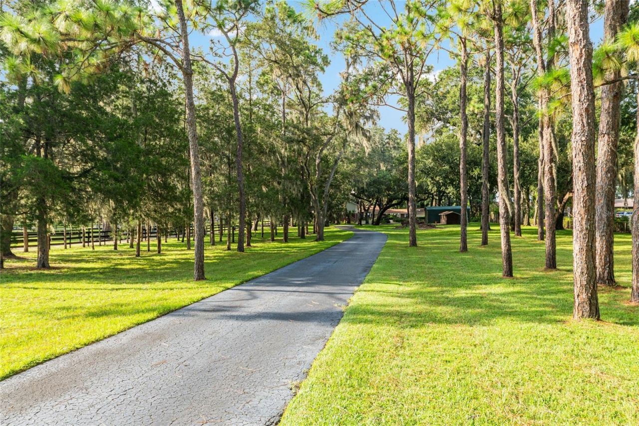 10745 SE Sunset Harbor Road, Summerfield, FL 34491 Photo