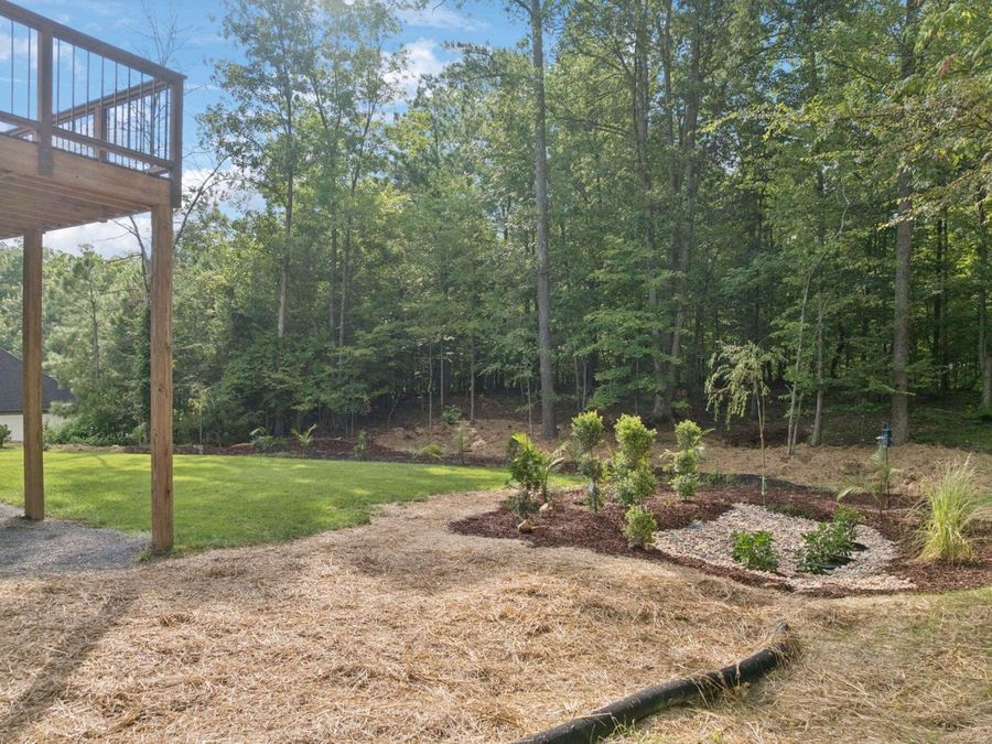 Property Image 98