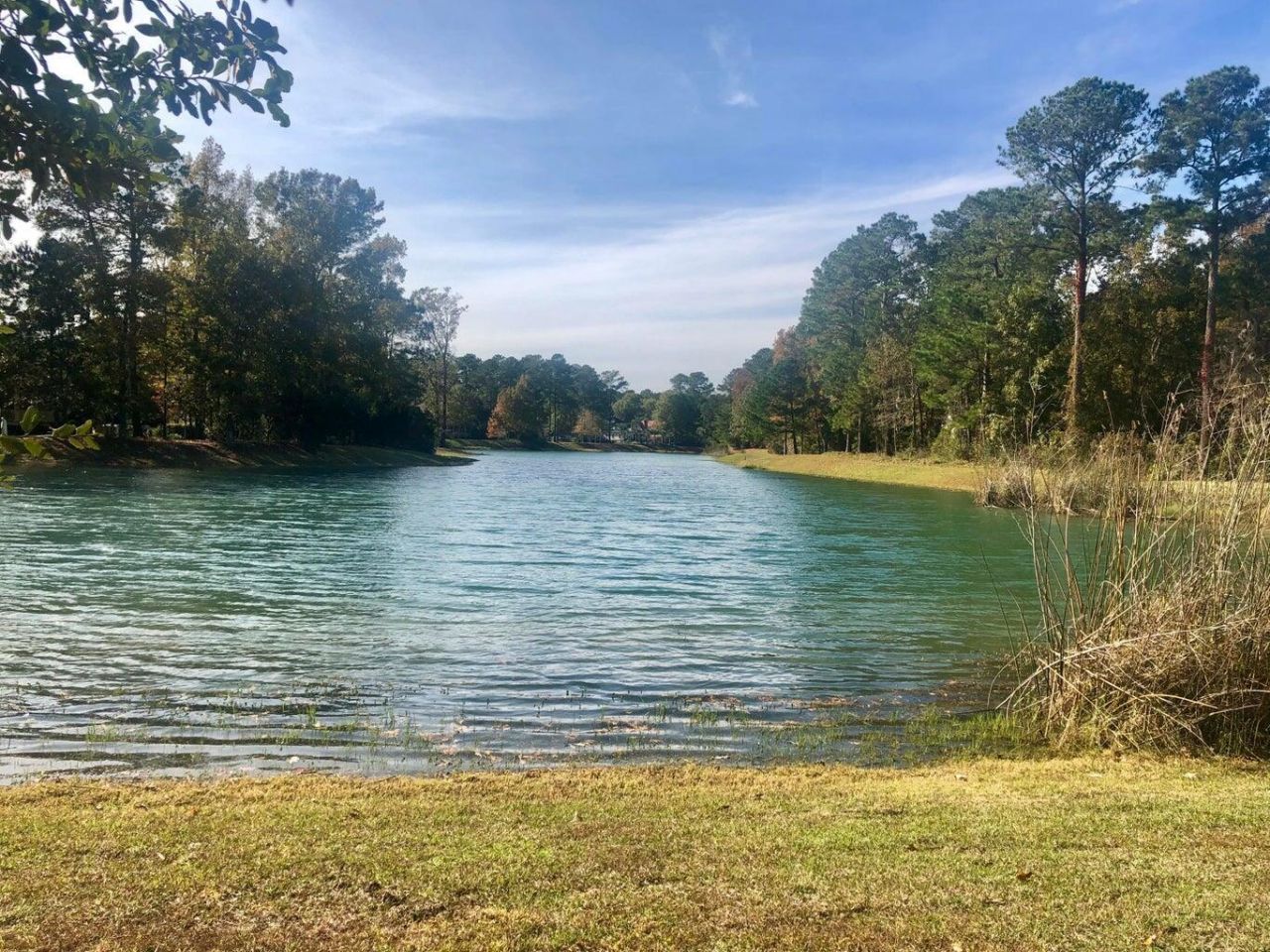 4163 Deep Step Drive Photo 13