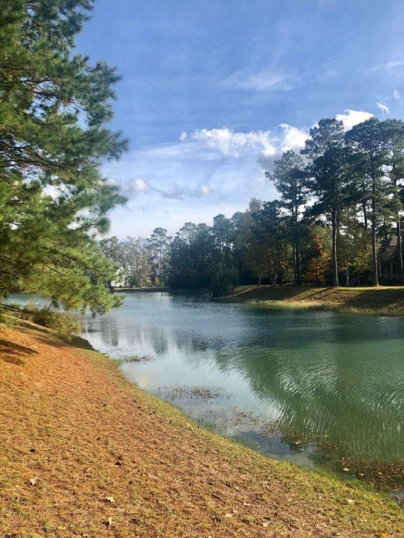 4163 Deep Step Drive Photo 14