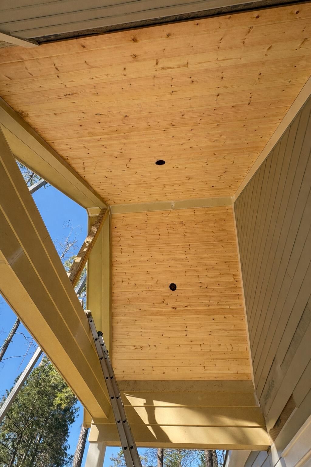 4163 Deep Step Drive Photo 6