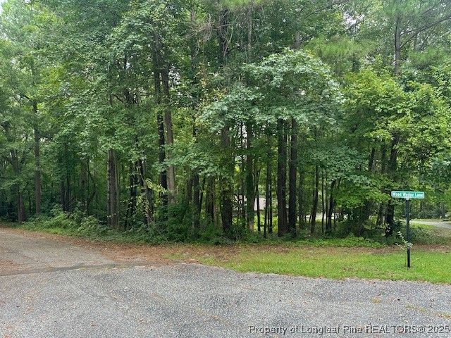 162 Woodwedge Way, Sanford, NC 27332 Main Photo