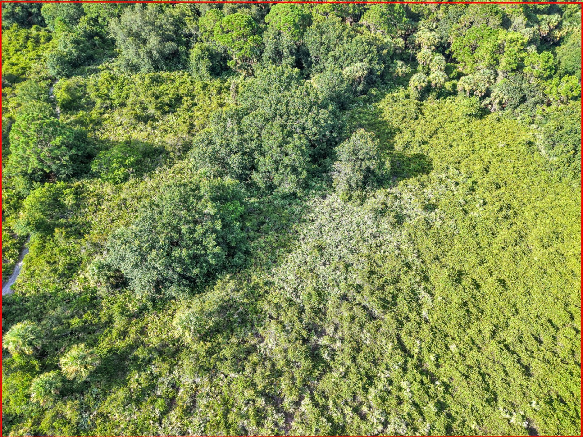 100 NW 38th Avenue, Okeechobee, FL 34972 Photo