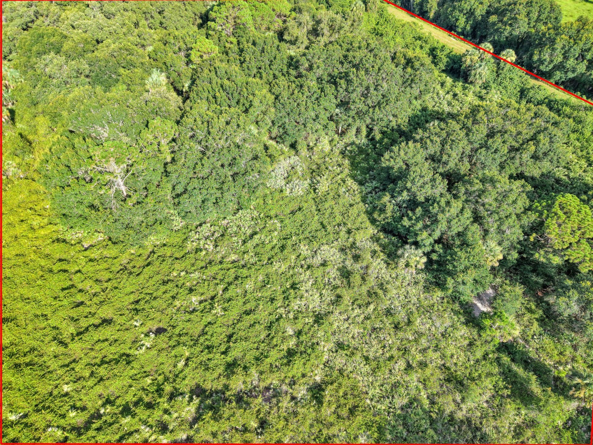 100 NW 38th Avenue, Okeechobee, FL 34972 Photo