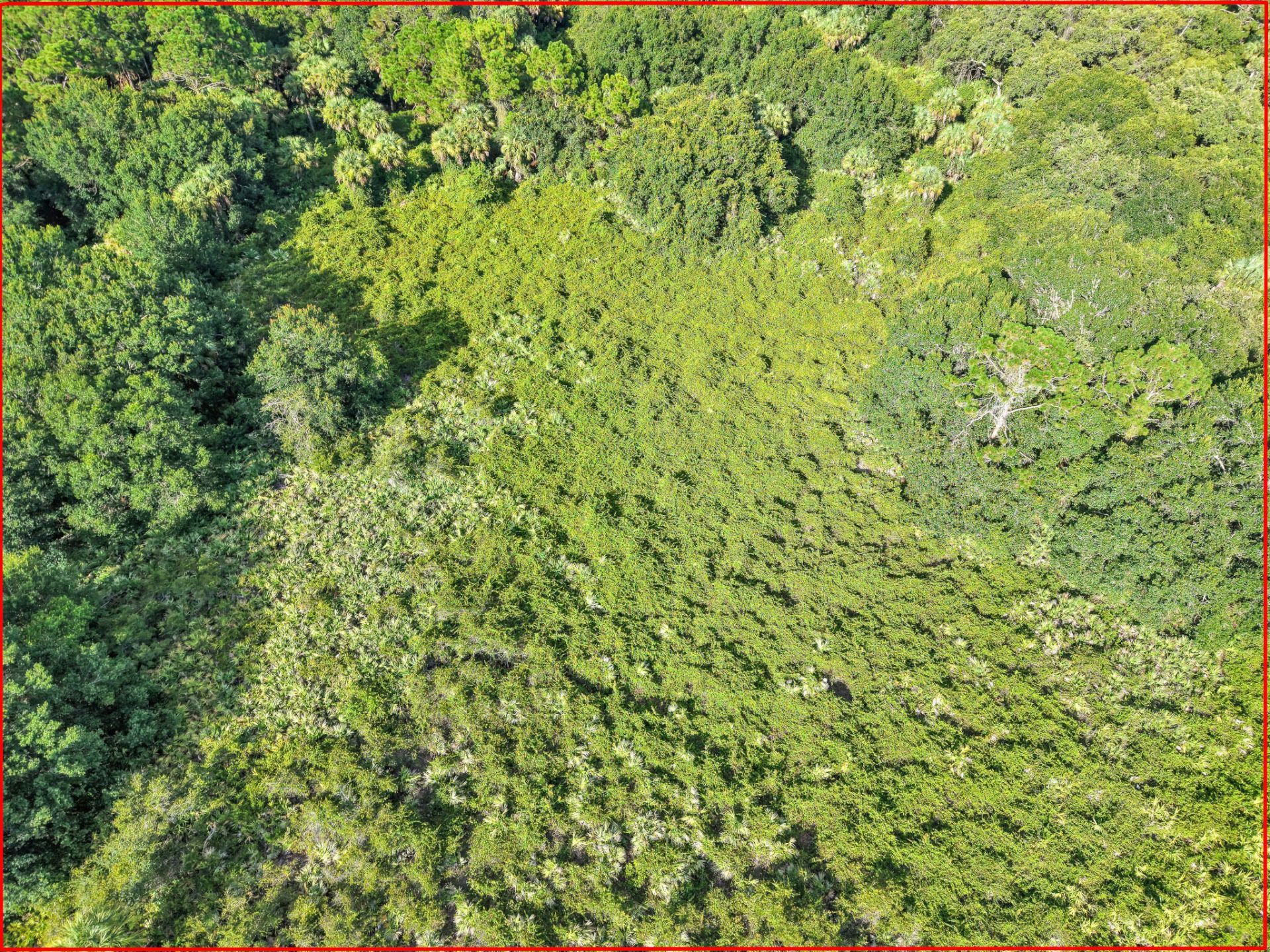 100 NW 38th Avenue, Okeechobee, FL 34972 Photo