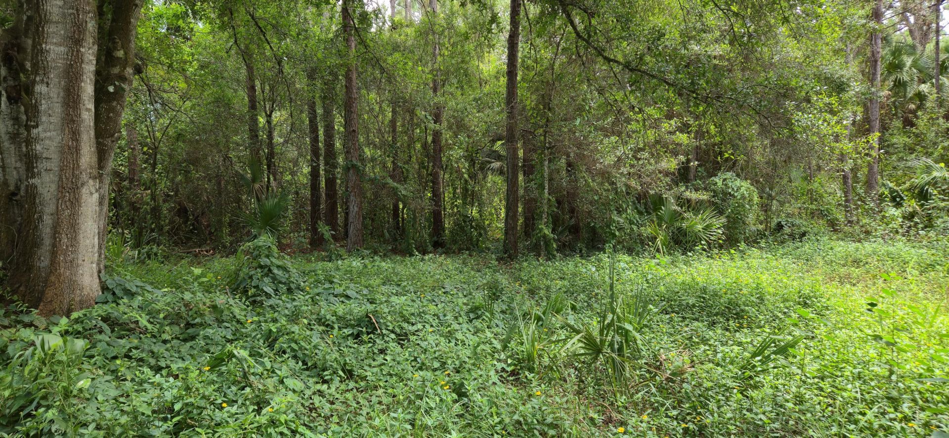100 NW 38th Avenue, Okeechobee, FL 34972 Photo