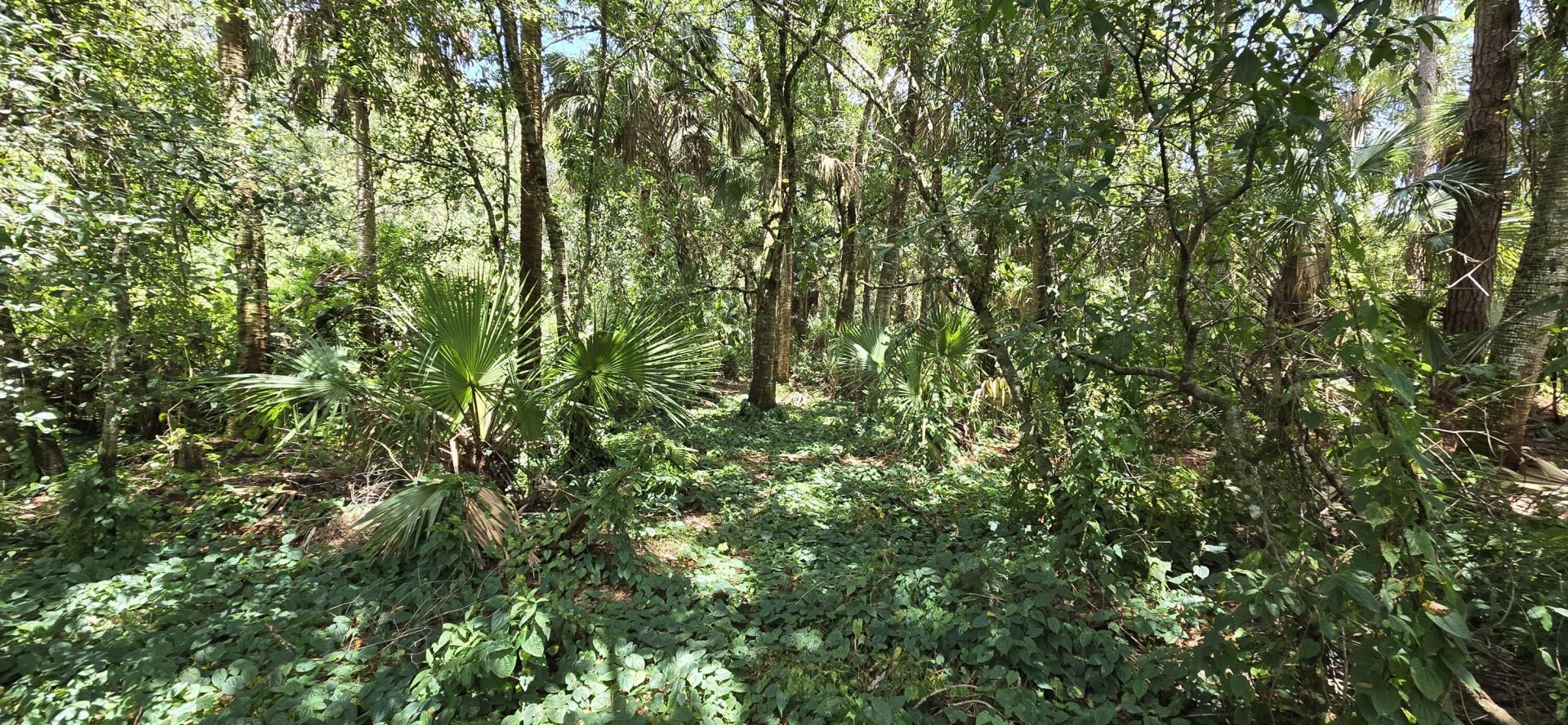 100 NW 38th Avenue, Okeechobee, FL 34972 Photo