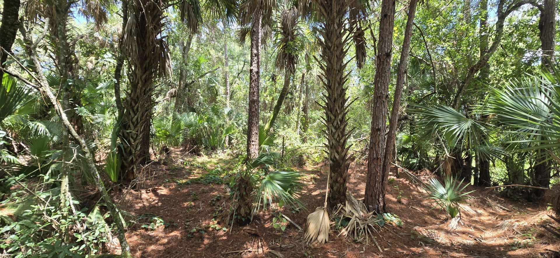 100 NW 38th Avenue, Okeechobee, FL 34972 Photo