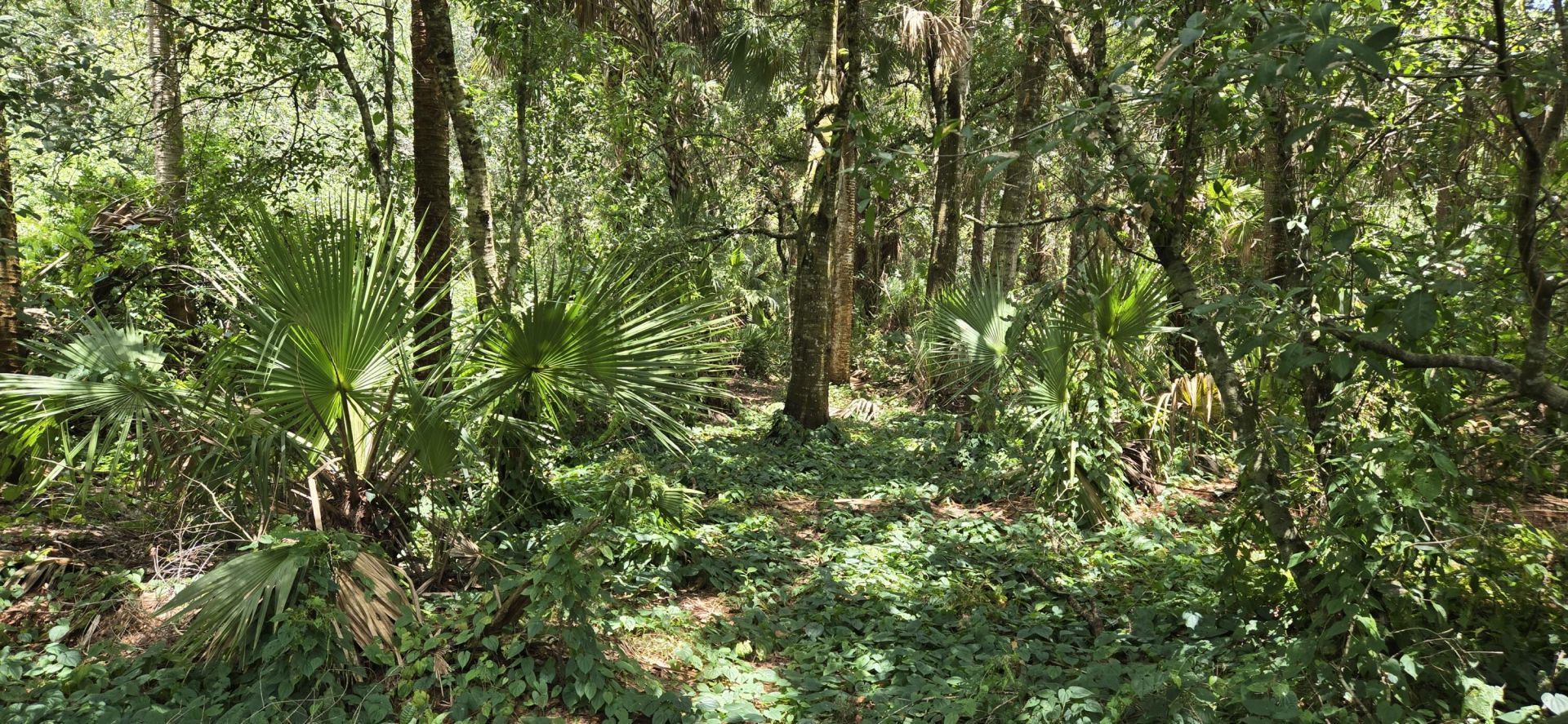 100 NW 38th Avenue, Okeechobee, FL 34972 Photo