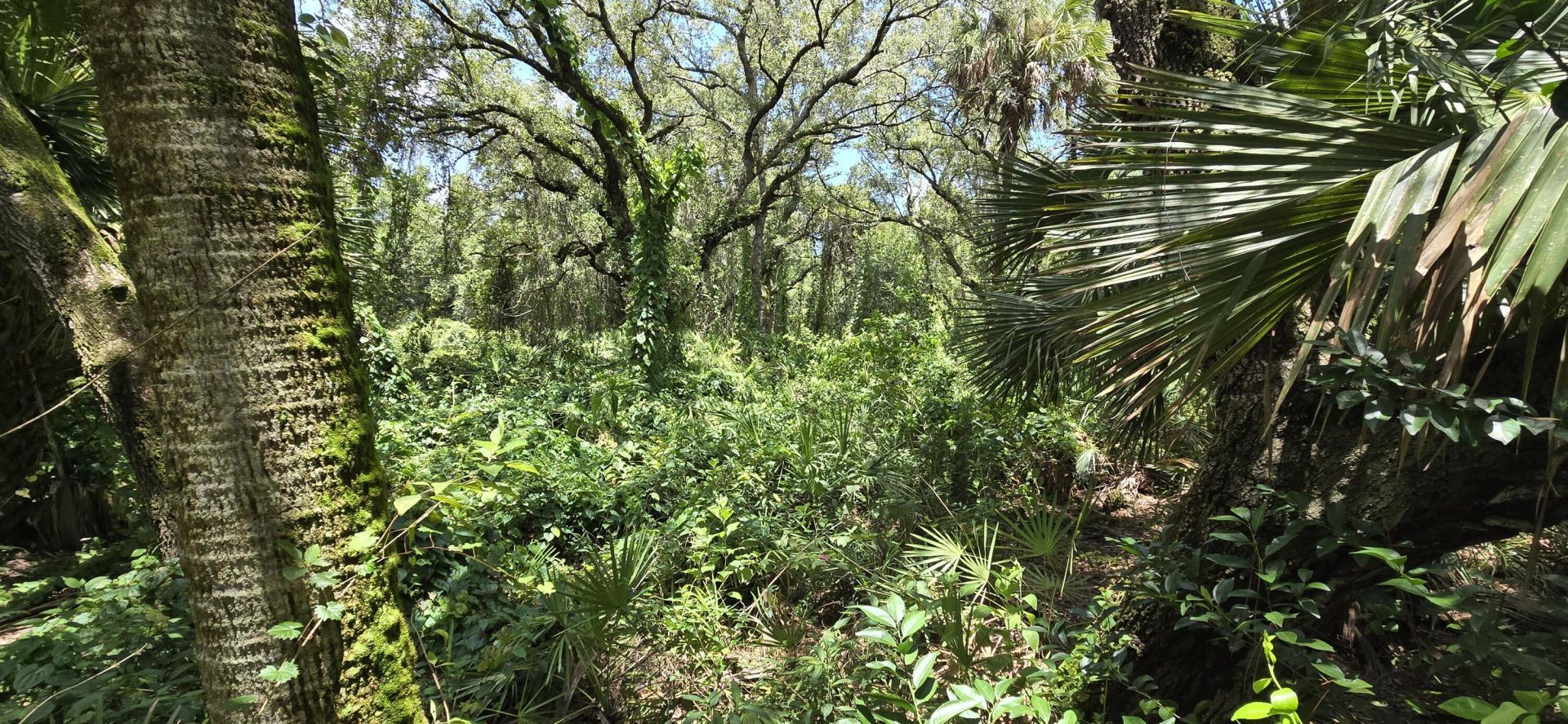 100 NW 38th Avenue, Okeechobee, FL 34972 Photo