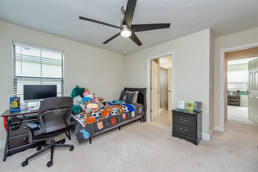 14529 Woodland Spur Drive, Lithia, FL 33547 Photo
