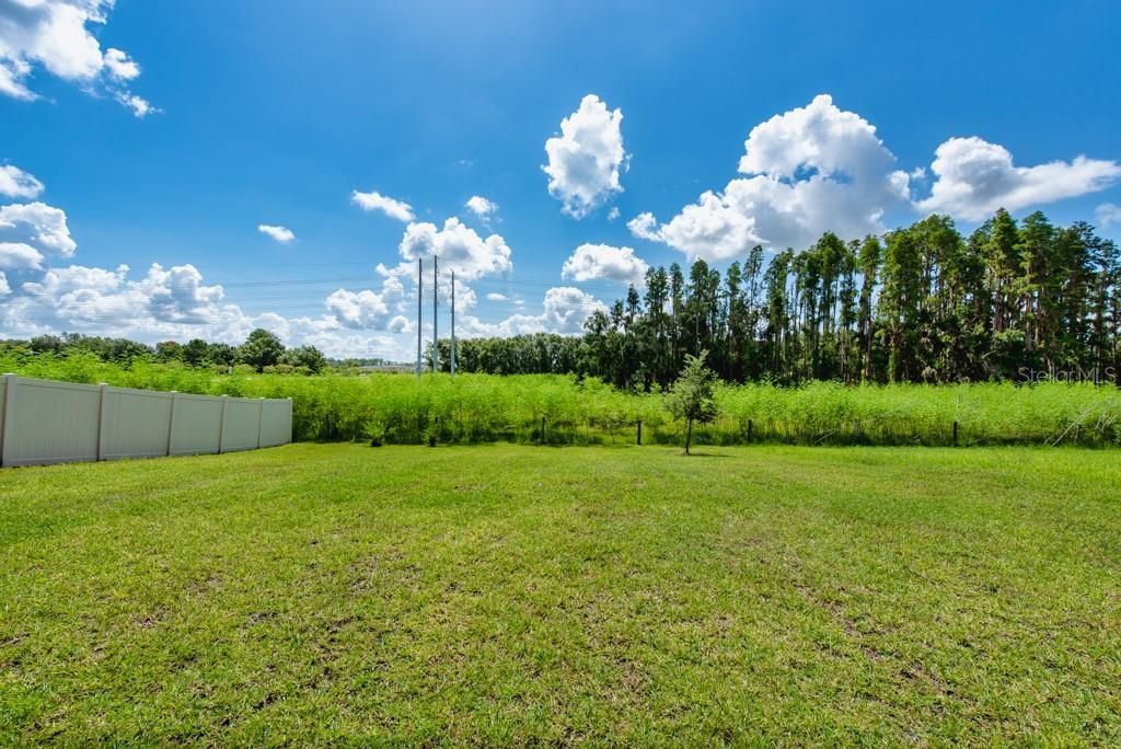 14529 Woodland Spur Drive, Lithia, FL 33547 Photo