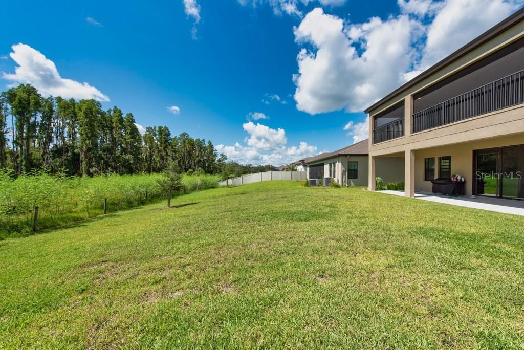14529 Woodland Spur Drive, Lithia, FL 33547 Photo