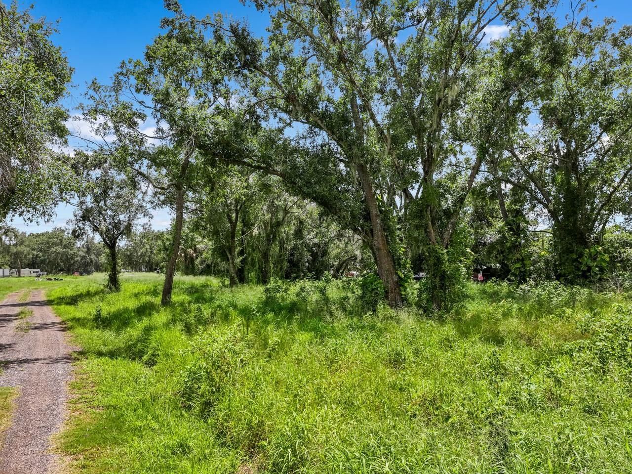 5523 Janes, Wimauma, FL 33598 Photo