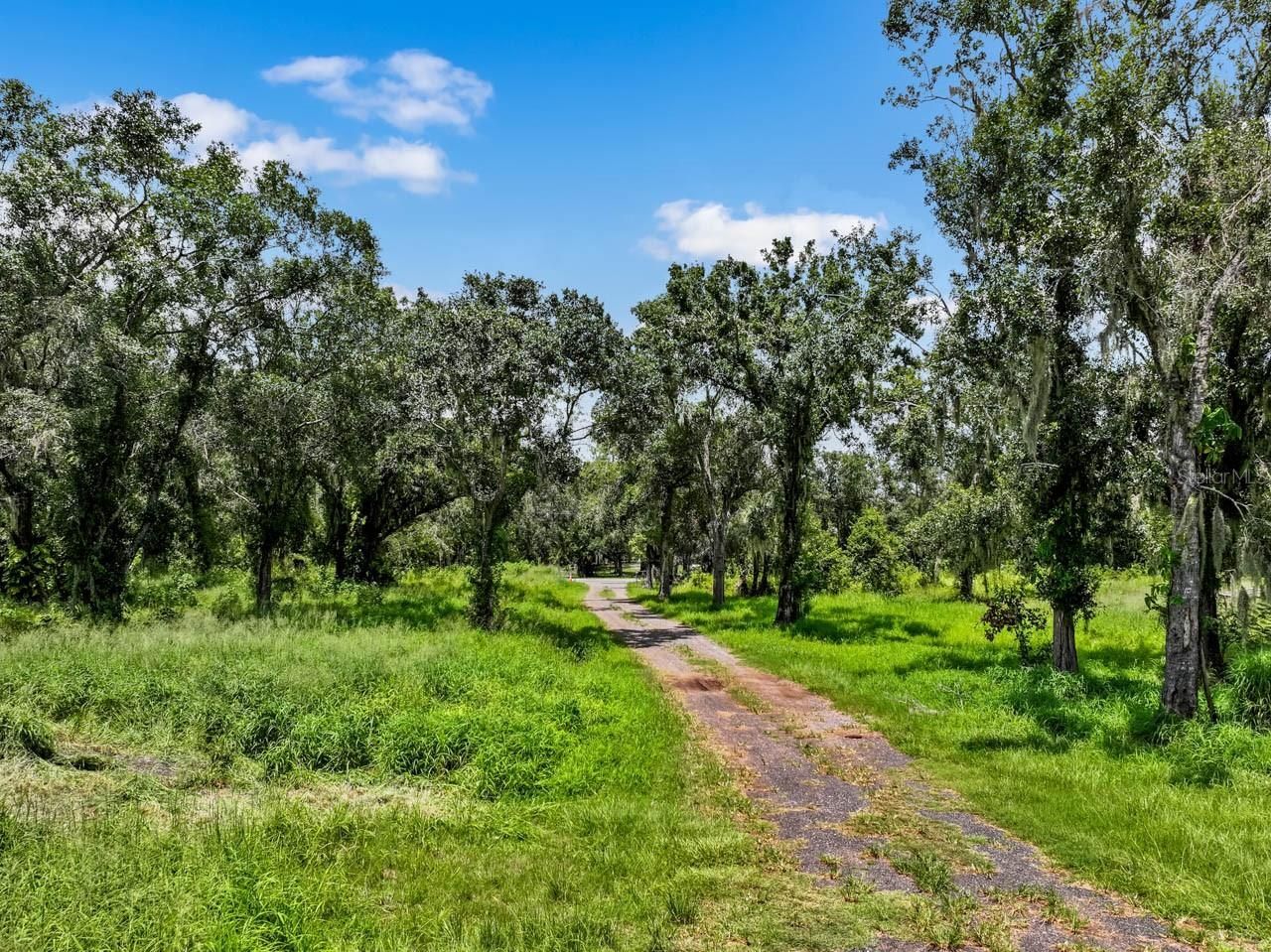 5523 Janes, Wimauma, FL 33598 Photo