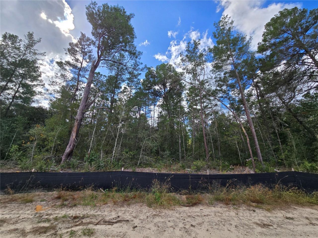 2613 Clearwood Street, Inverness, FL 34452 Photo