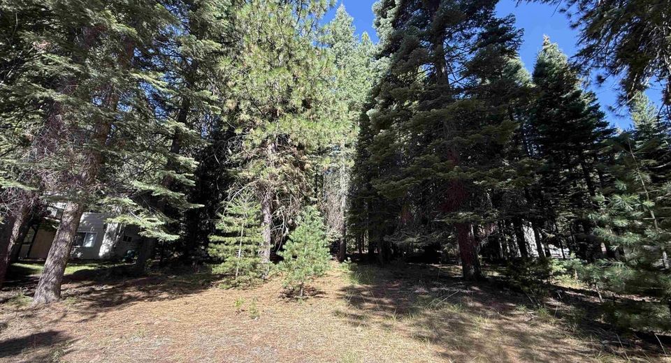 917 Peninsula Drive, Lake Almanor, CA 96137 Photo