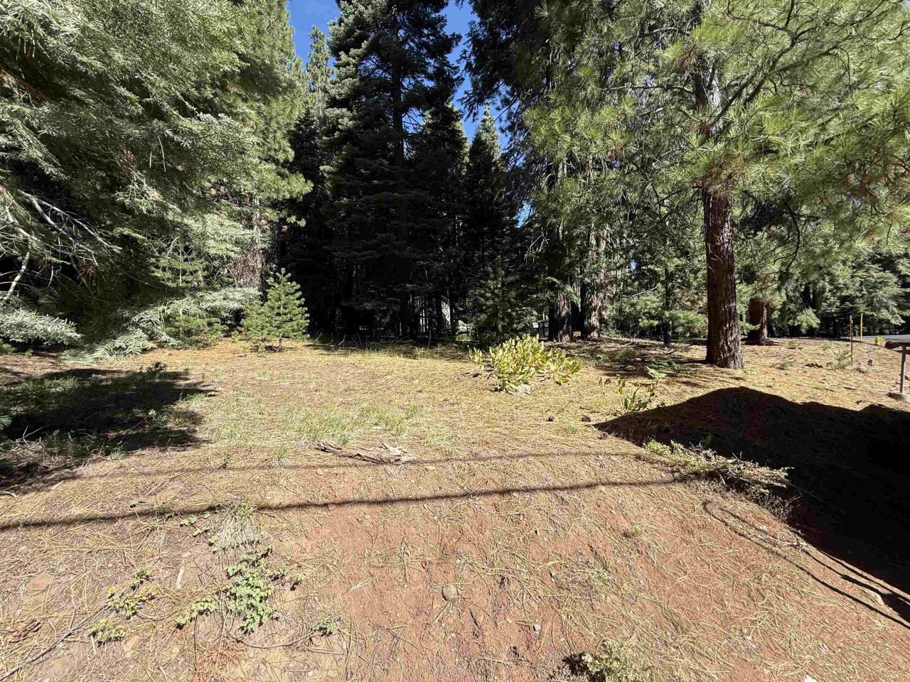 917 Peninsula Drive, Lake Almanor, CA 96137 Photo