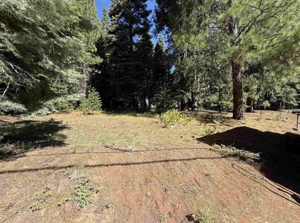 917 Peninsula Drive, Lake Almanor, CA 96137 Photo