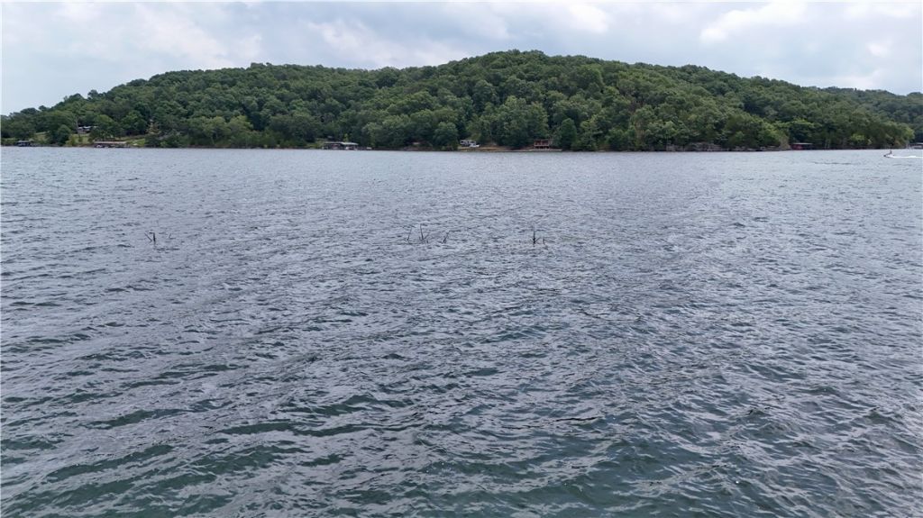 Lot 10 Cedar Forest Drive, Lot #Lot 10, Garfield, AR 72732 Main Photo