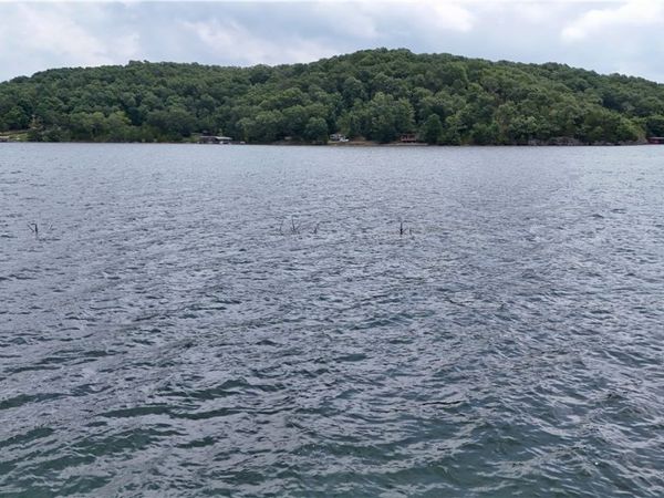 Lot 10 Cedar Forest Drive, Unit Lot 10, Garfield, AR 72732