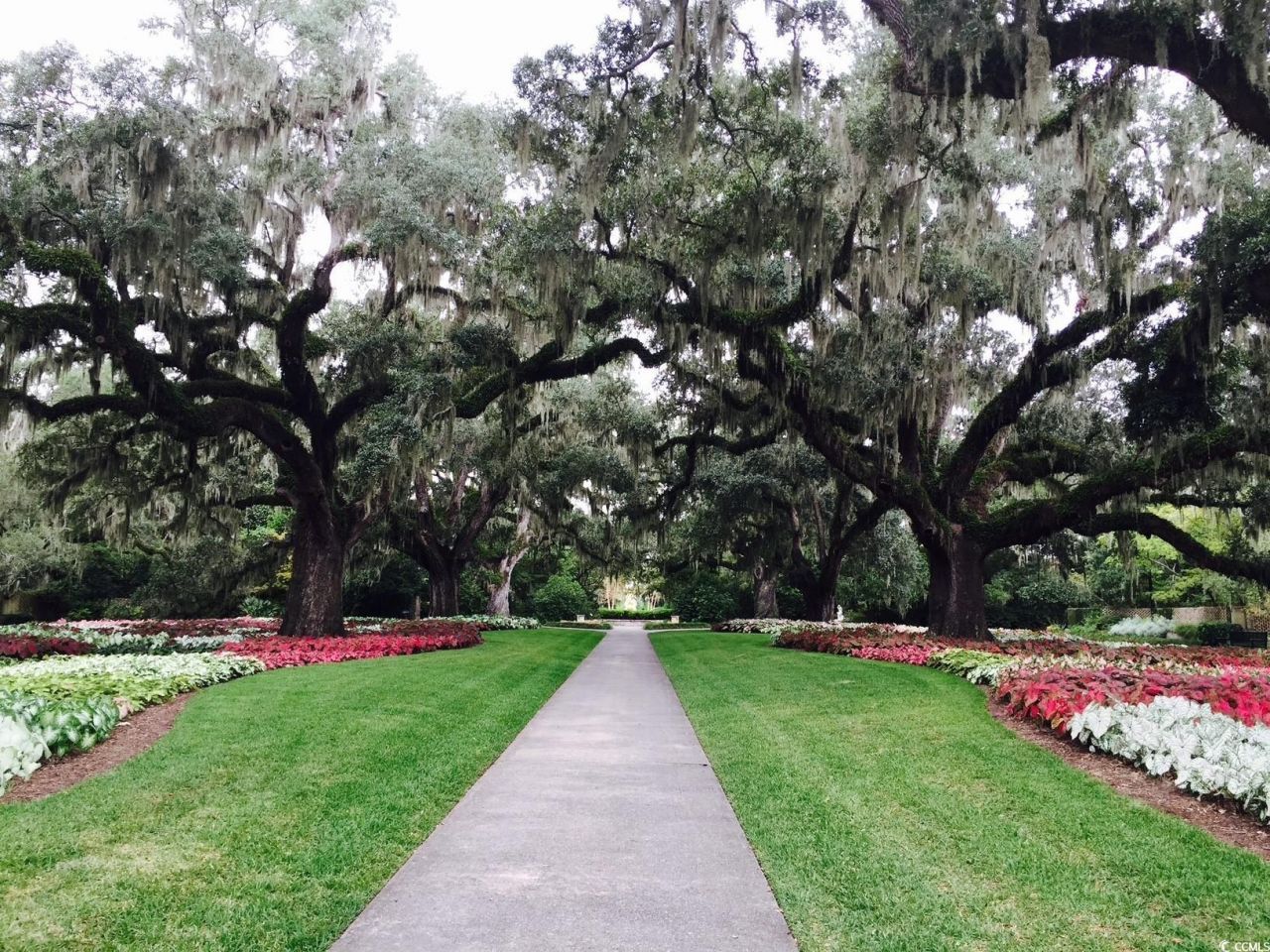 Tbd Anna Marie Way Photo 23