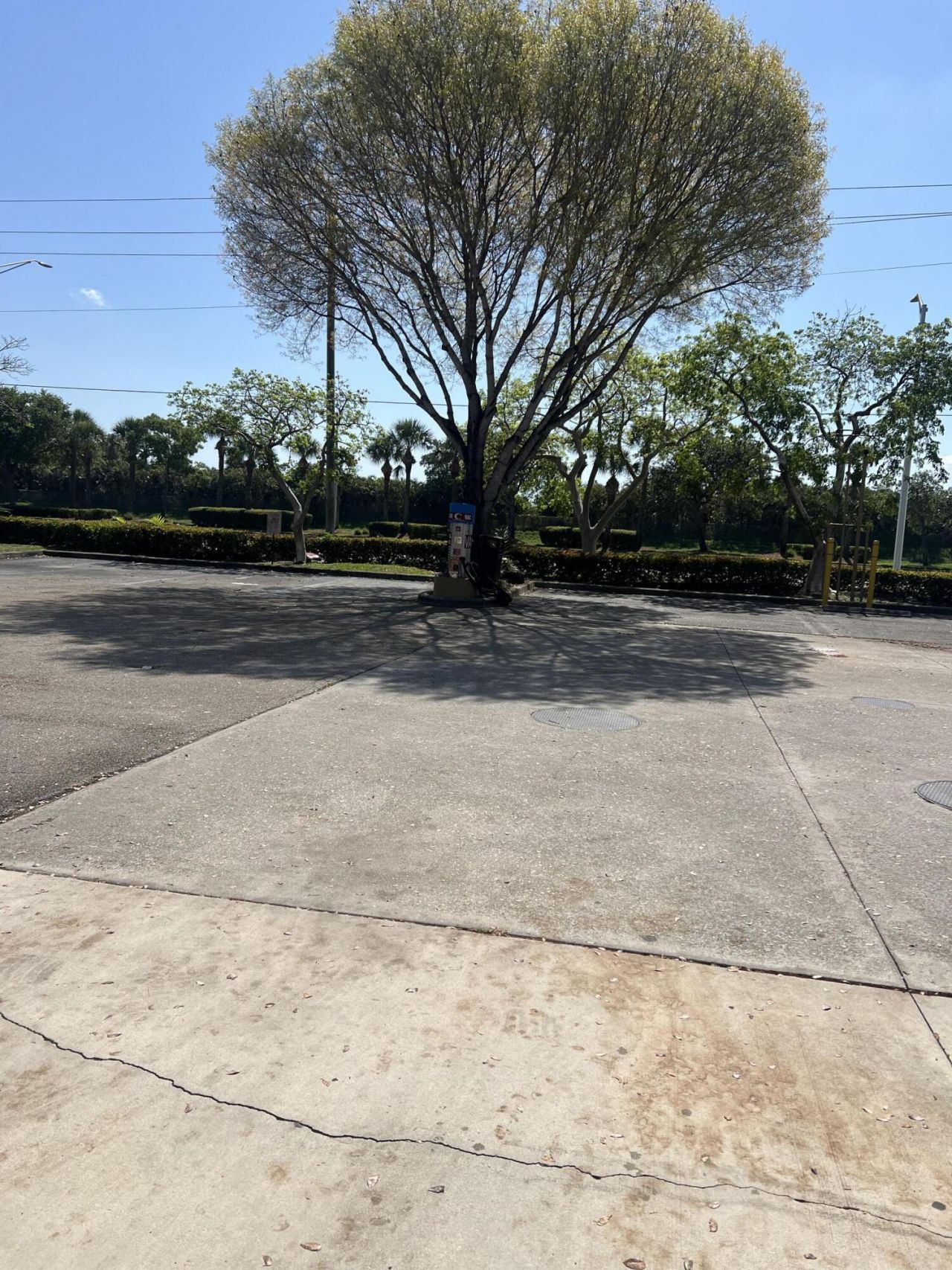 1009 N State 7 Road, Royal Palm Beach, FL 33411 Photo