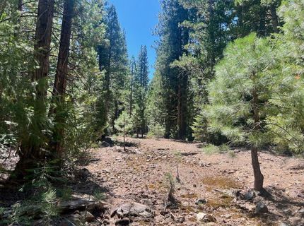 1701 Knobcone Trail, Johnsville, CA 96103 Photo