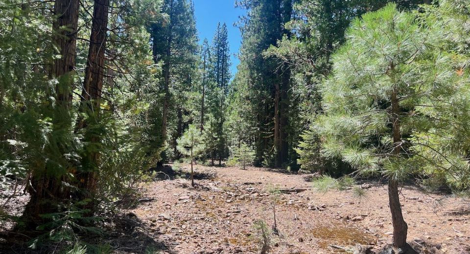 1701 Knobcone Trail, Johnsville, CA 96103 Photo