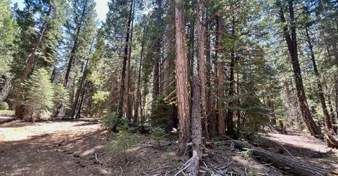 1701 Knobcone Trail, Johnsville, CA 96103 Photo