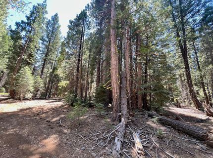 1701 Knobcone Trail, Johnsville, CA 96103 Photo