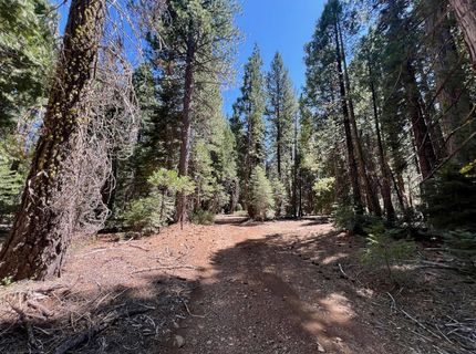 1701 Knobcone Trail, Johnsville, CA 96103 Photo