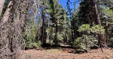 1701 Knobcone Trail, Johnsville, CA 96103 Photo