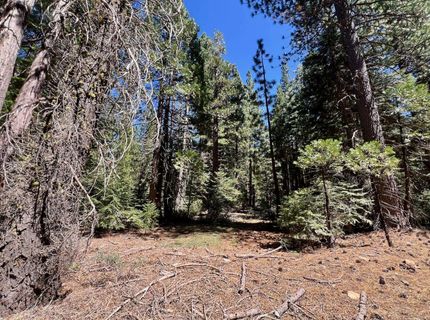 1701 Knobcone Trail, Johnsville, CA 96103 Photo