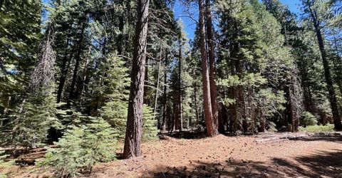 1701 Knobcone Trail, Johnsville, CA 96103 Photo
