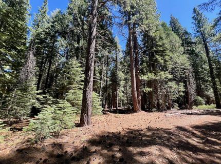 1701 Knobcone Trail, Johnsville, CA 96103 Photo