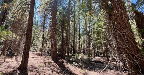 1701 Knobcone Trail, Johnsville, CA 96103 Photo