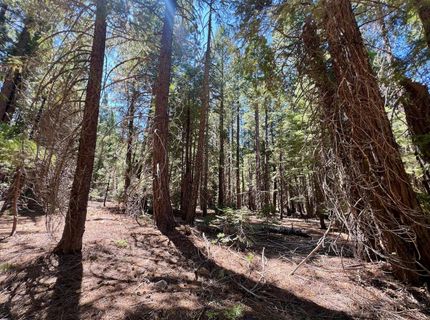 1701 Knobcone Trail, Johnsville, CA 96103 Photo