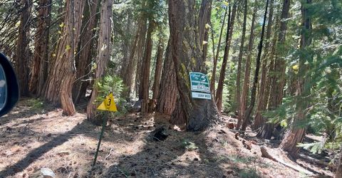 1701 Knobcone Trail, Johnsville, CA 96103 Photo