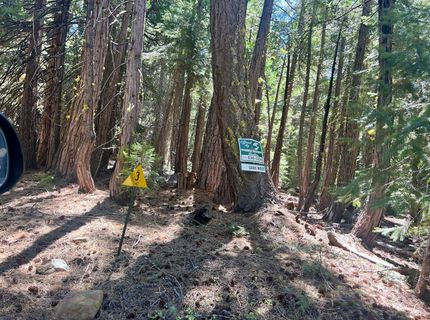1701 Knobcone Trail, Johnsville, CA 96103 Photo