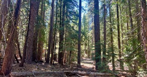 1701 Knobcone Trail, Johnsville, CA 96103 Photo