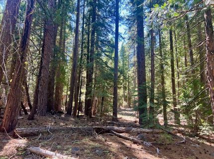 1701 Knobcone Trail, Johnsville, CA 96103 Photo